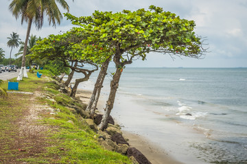 codta de gabon