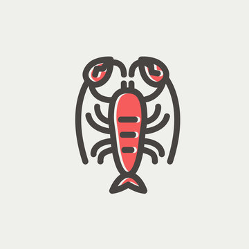 Lobster thin line icon
