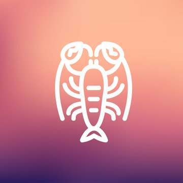 Lobster thin line icon