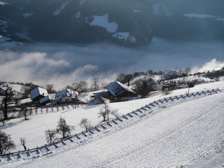 snowy landscape