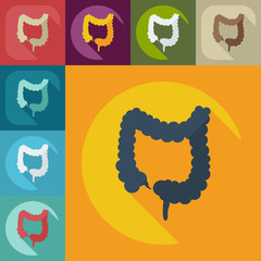 Flat modern design with shadow icons large intestine
