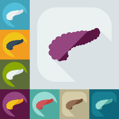 Flat modern design with shadow icons pancreas