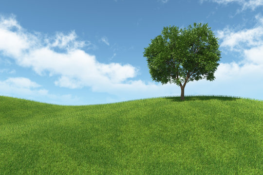 landscape with isolated tree on green meadow