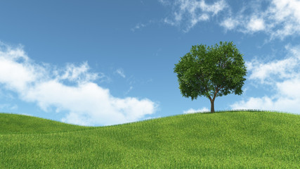 Fototapeta na wymiar landscape with isolated tree on green meadow