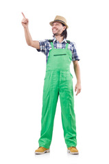 Male gardener isolated on white