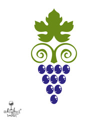 Stylized grape vine vector illustration. Winery symbol best for