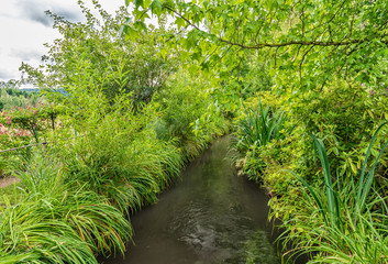 Fototapeta premium France Giverny Monet's garden on a spring day