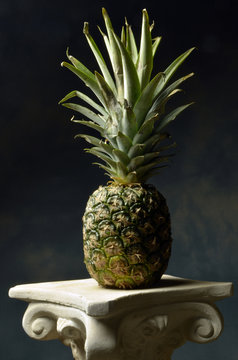 Ananas comosus Ananassl&auml;ktet Ананас أناناس