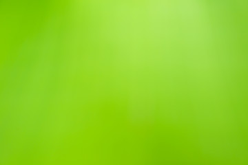 Abstract background green color
