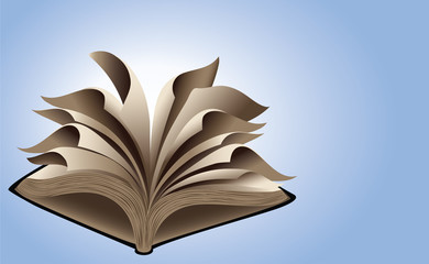 Flying Book