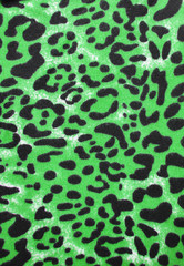 Wild animal skin pattern