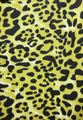 Wild animal skin pattern