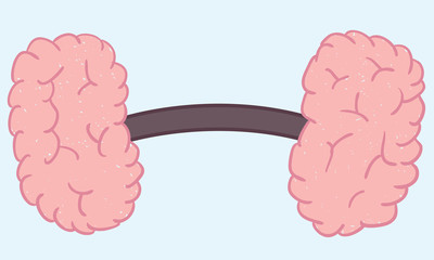Brain dumbell.