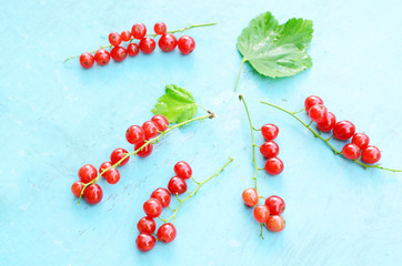Red currant on blue background