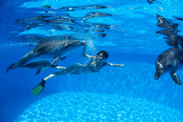 with the dolphins