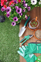 garden tools © expressiovisual