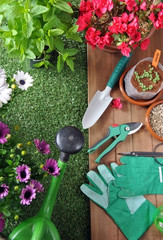 garden tools © expressiovisual