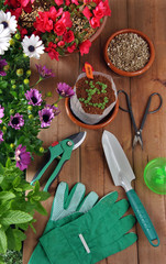 garden tools © expressiovisual