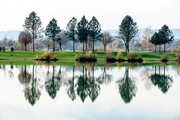 Fototapeta na wymiar Bäume spiegeln sich im See