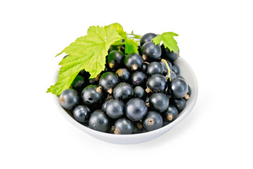 Black currants in bowl with leaf