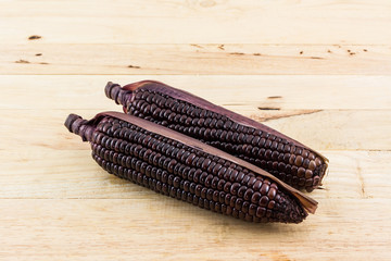 Fresh purple organic corn, Maize .
