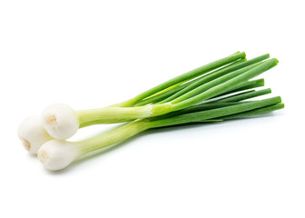 Green onion isolated on the white background