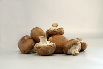 champignons
