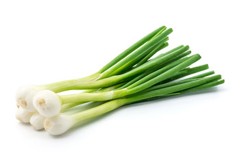 Green onion isolated on the white background