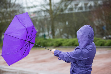 Ein Kampf mit dem violettfarbenen Regenschirm bei Sturm - 82458565