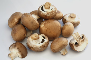 champignons