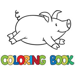 Little pig coloring book