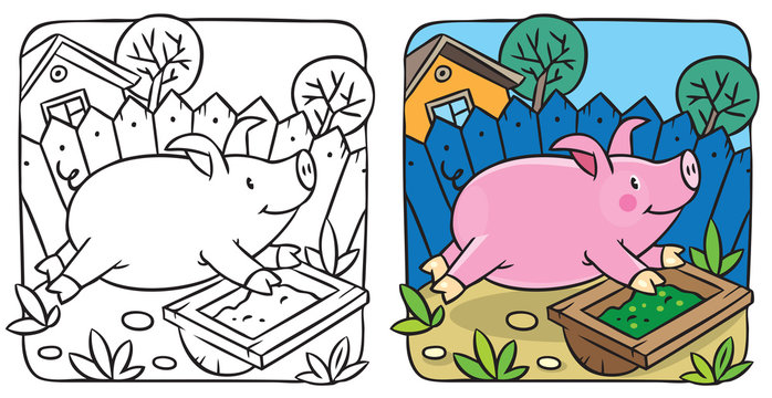 Little pig coloring book
