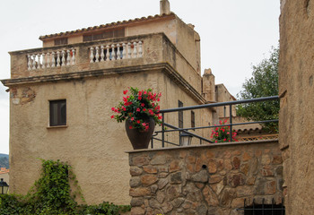 a pot of flowers on the stone terrace