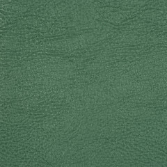 Fototapeta premium Closeup detail of green leather texture background.
