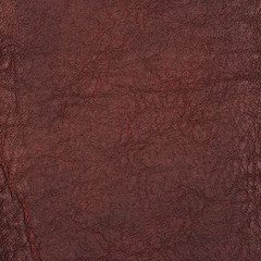 Red leather texture closeup detailed background.