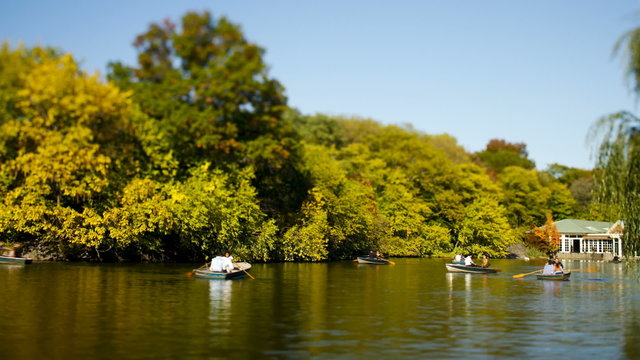 row boats on a pond