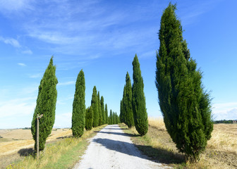 Crete Senesi (Tuscany, Italy)