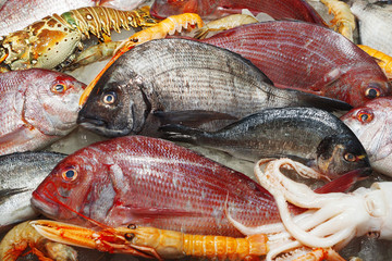 Octopus, crayfish, shrimp, clams, date mussel and lobster