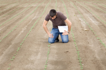 Agronomist with sprouts
