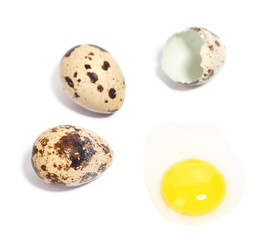 quail eggs