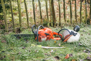 Chainsaw and pruning handsaw