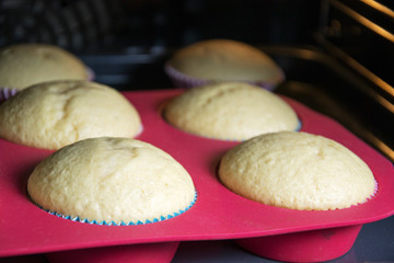 Muffins