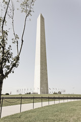 Obraz premium The Washington Monument, National Mall, Washington DC