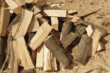 Heap of chopped hornbeam firewood