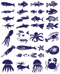 Obraz premium fish and marine reptiles icons on white
