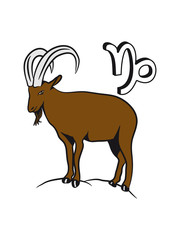 Capricorn horoscope mountains zodiac signs