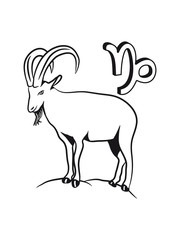 Capricorn horoscope mountains zodiac signs