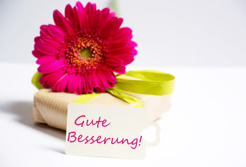 Gl&uuml;ckw&uuml;nsche