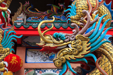 The face of colourful dragon