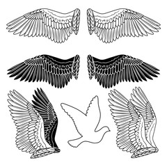 Dove bird wings set